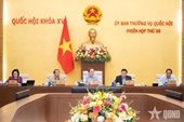 N.A. Standing Committee reviews innovations in supervision